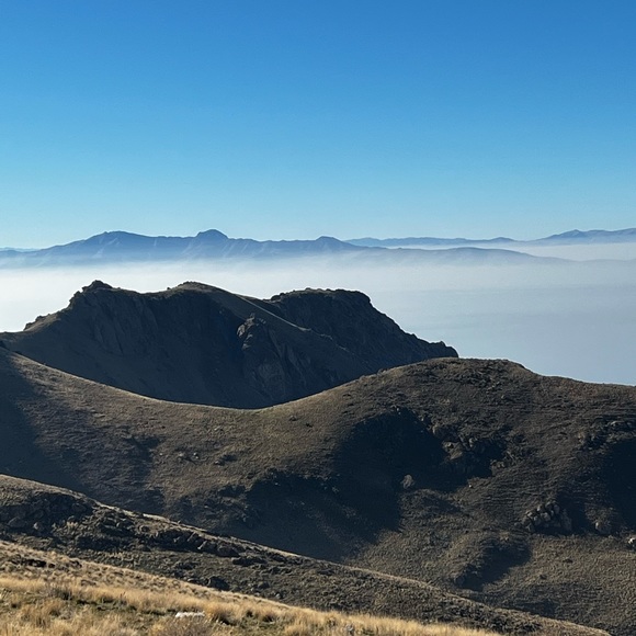 Meet your Posher, Syyd - Picture 3 of 4